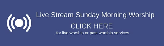 Adult Forum, Sunday School, & Confirmation