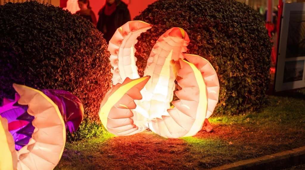 A Greytown Christmas Festival That Runs in July