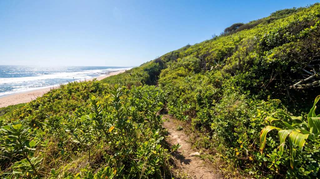 Blythedale Trail Run: A Coastal Race on a Private Estate
