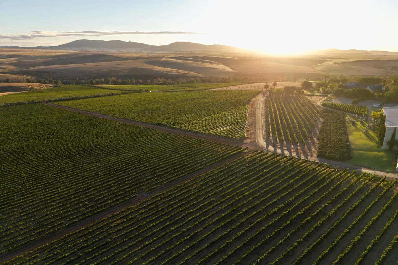 Org de Rac Organic Wine Estate — photo 1