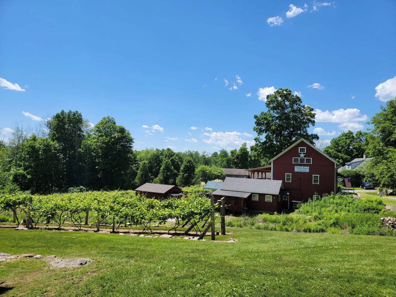 Walker Road Vineyards LLC — photo 1