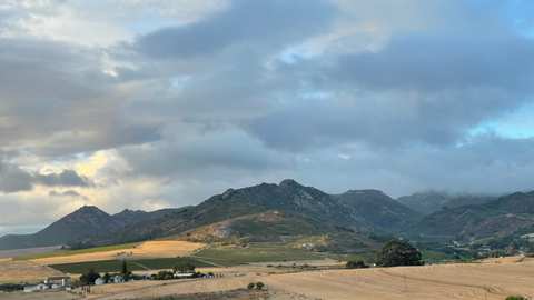 David & Nadia (Wine of origin Swartland) — photo 3