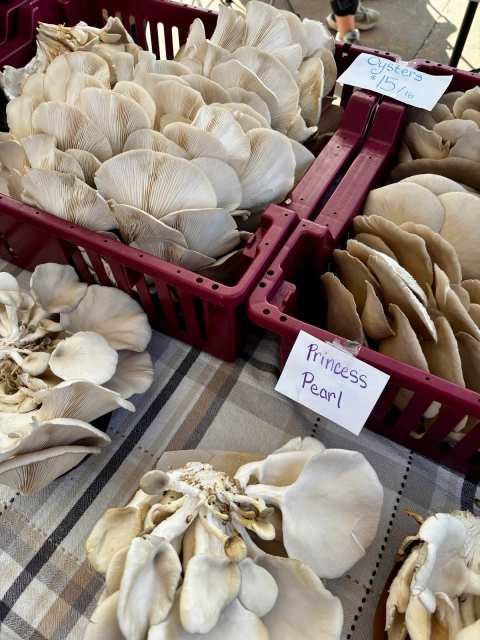 Viroqua Farmer's Market — photo 2