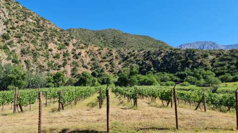 Peter Bayly Wines — photo 3