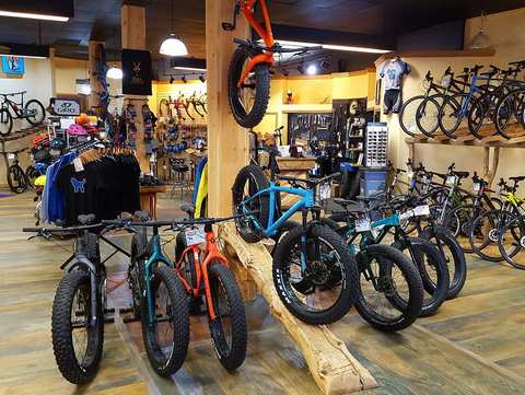 Bluedog Cycles — photo 2