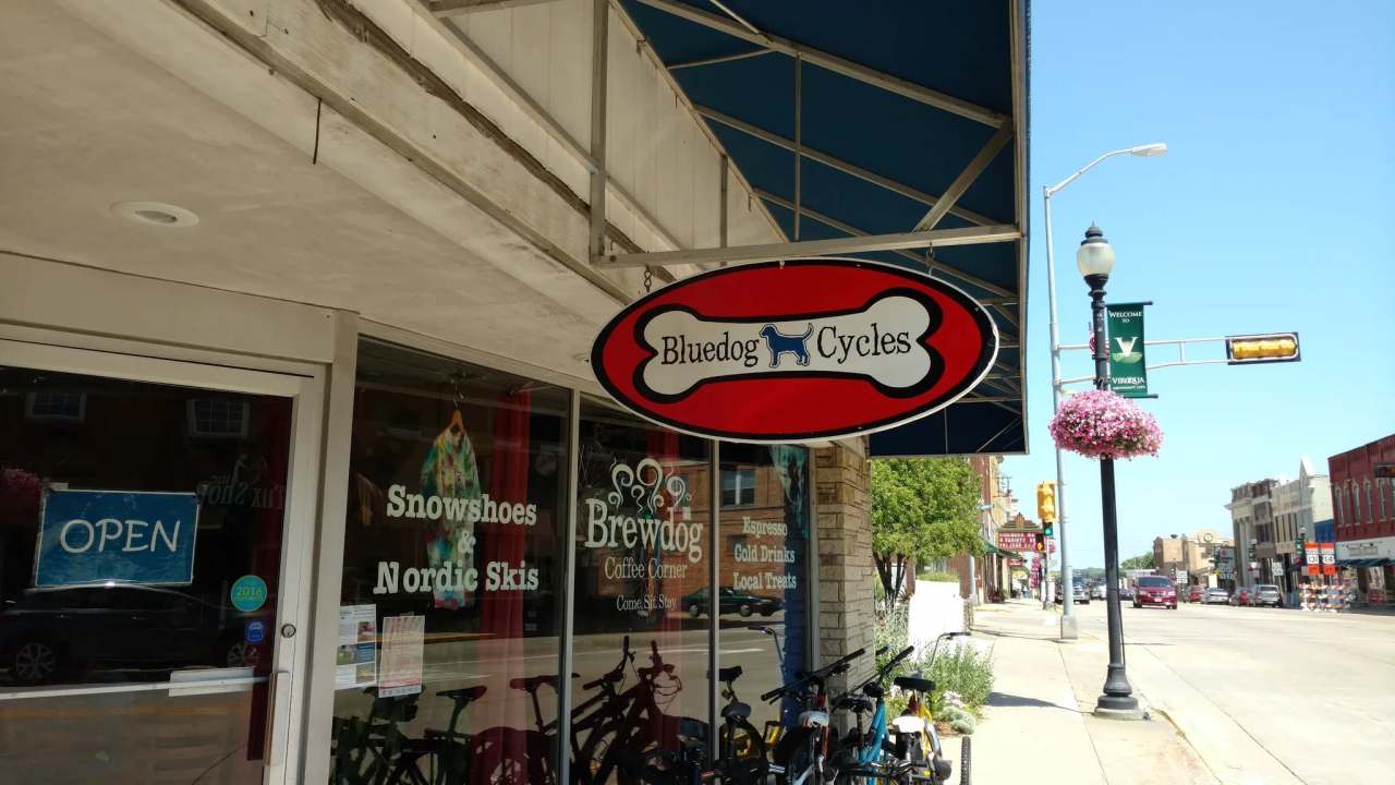 Bluedog Cycles — photo 3