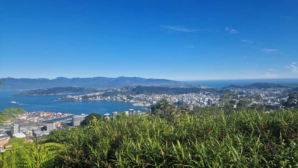 Wellington Town Belt Hikes