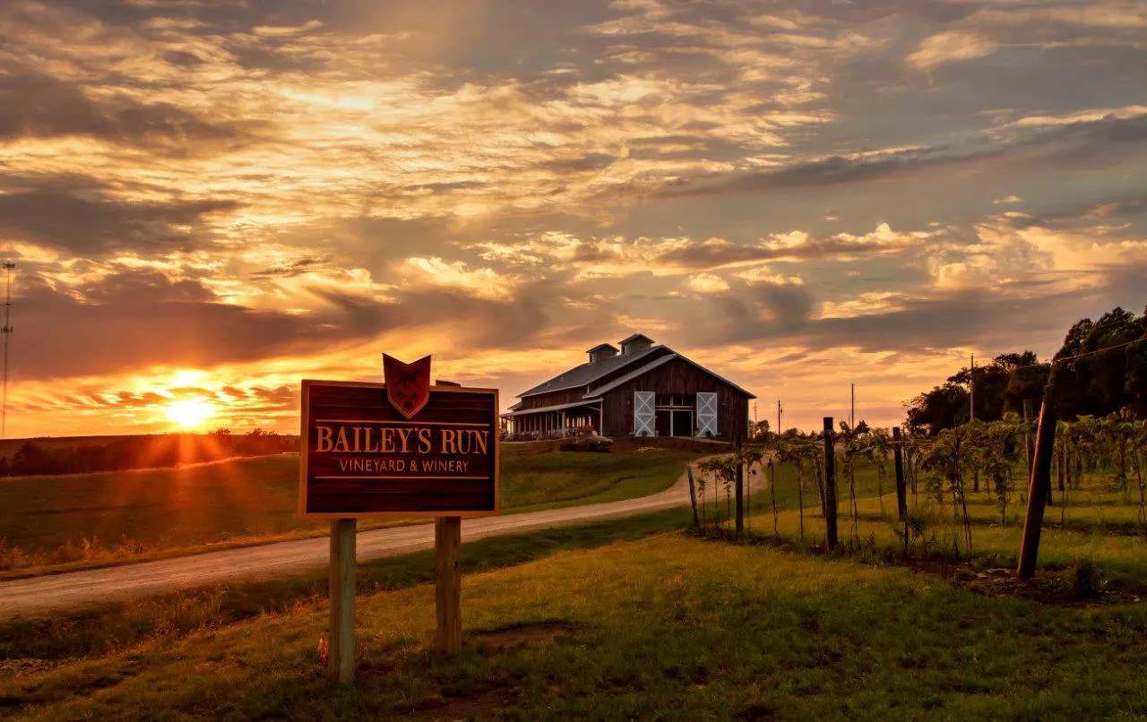Bailey's Run Vineyard & Winery — photo 1