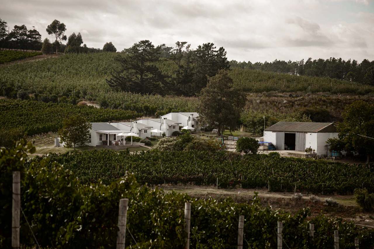 Paul Wallace Wines — photo 1