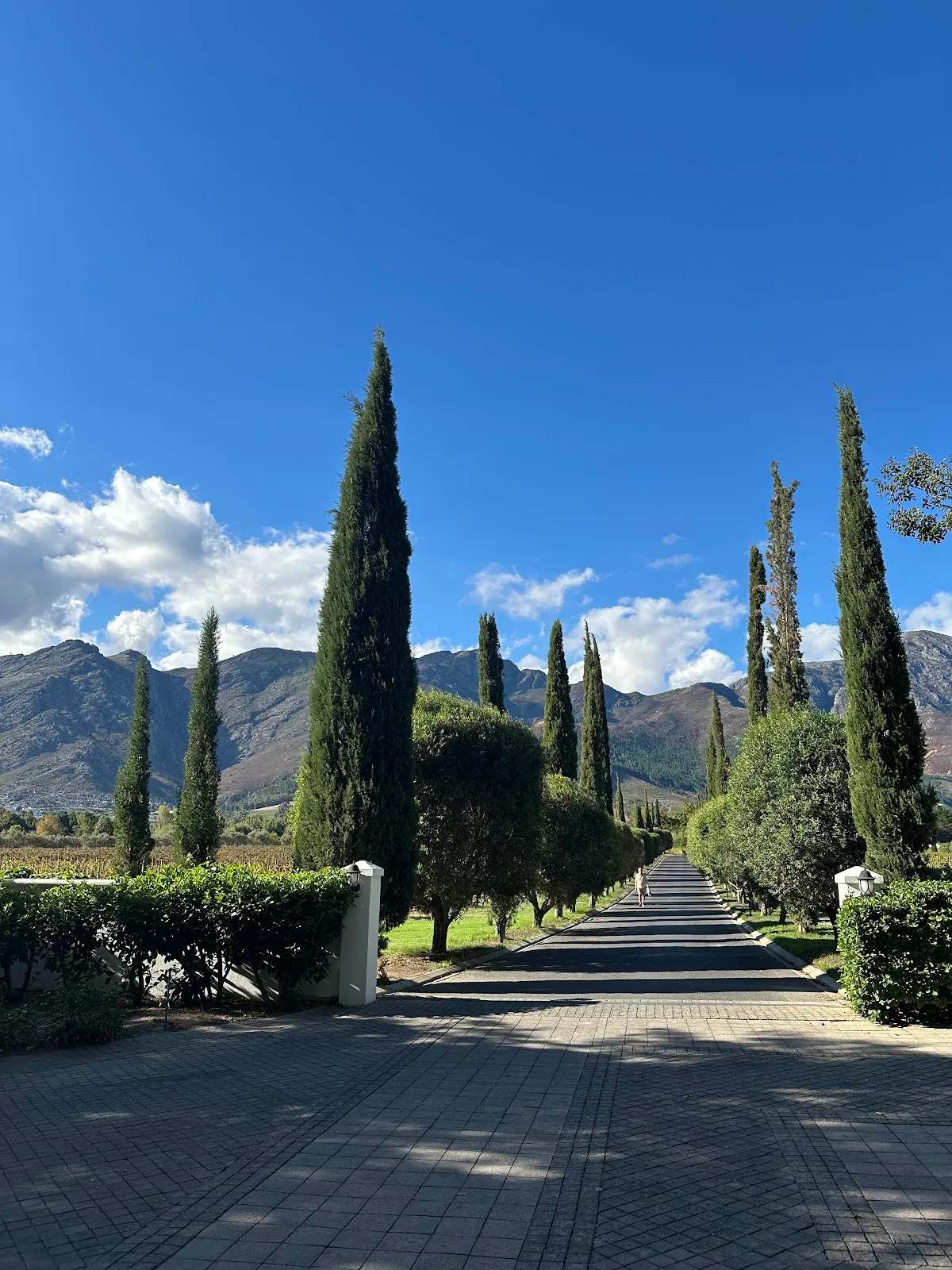 Grande Provence — photo 3