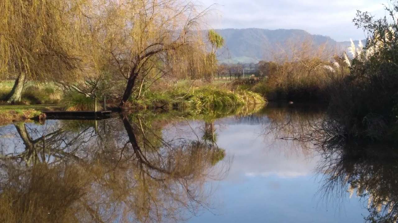 Katikati Bird Gardens — photo 1
