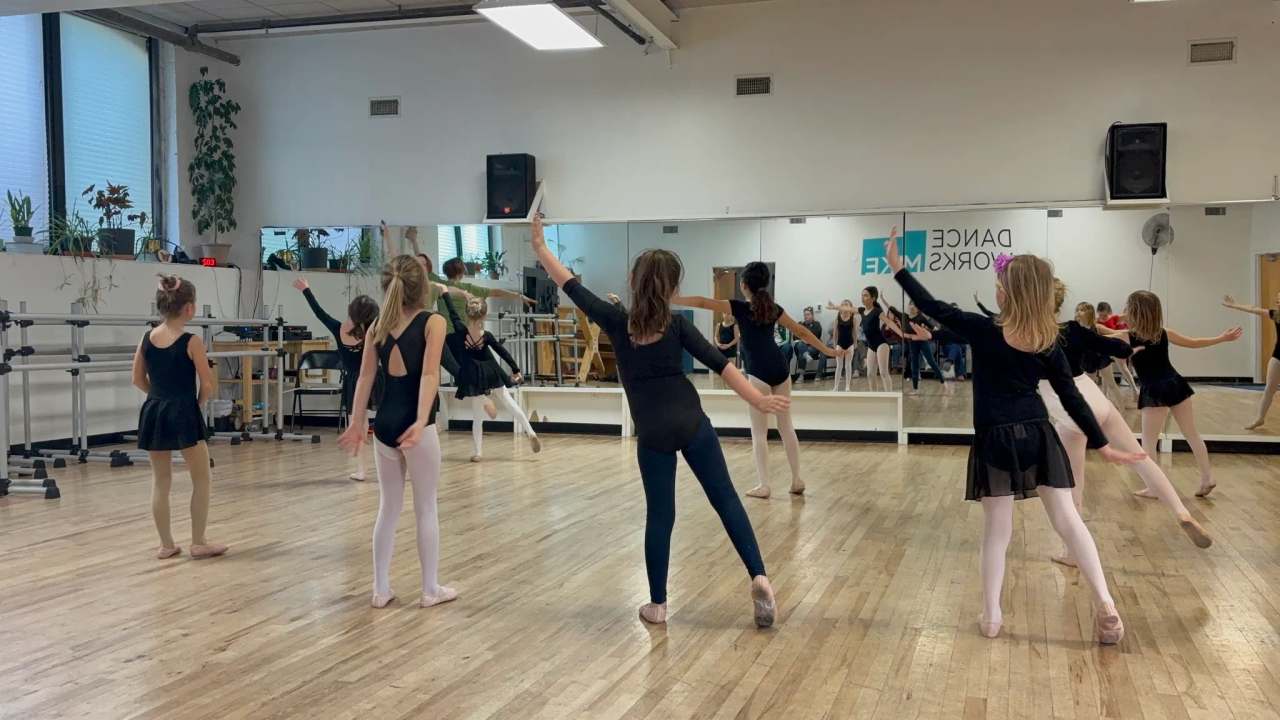 Danceworks — photo 2