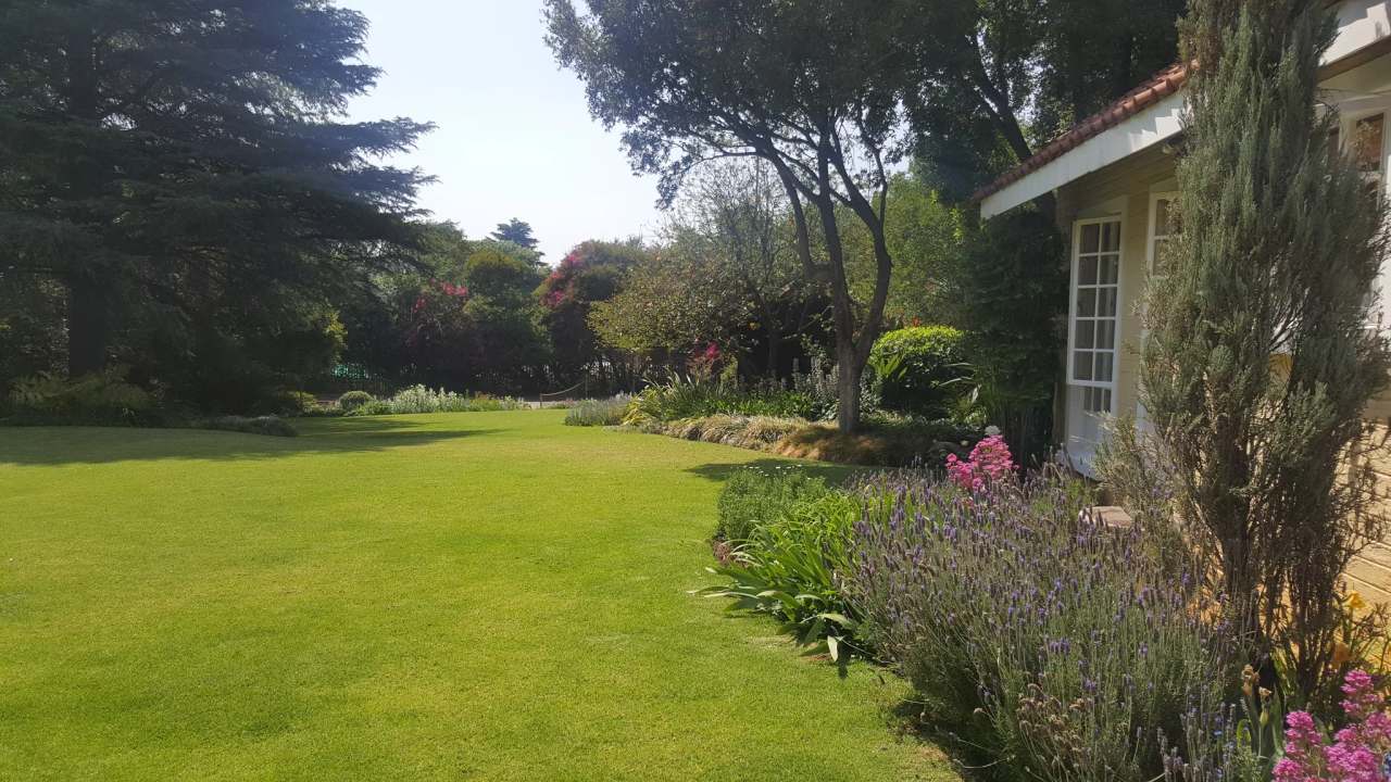 Pin Oaks Bed & Breakfast — photo 3