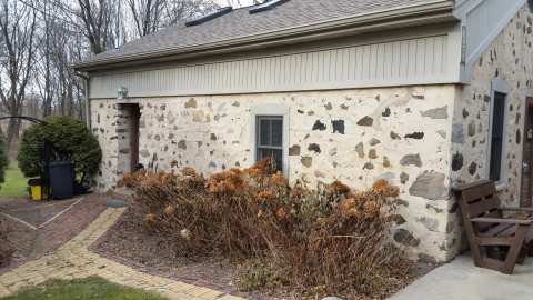 Bed And Breakfast Garden House — photo 2