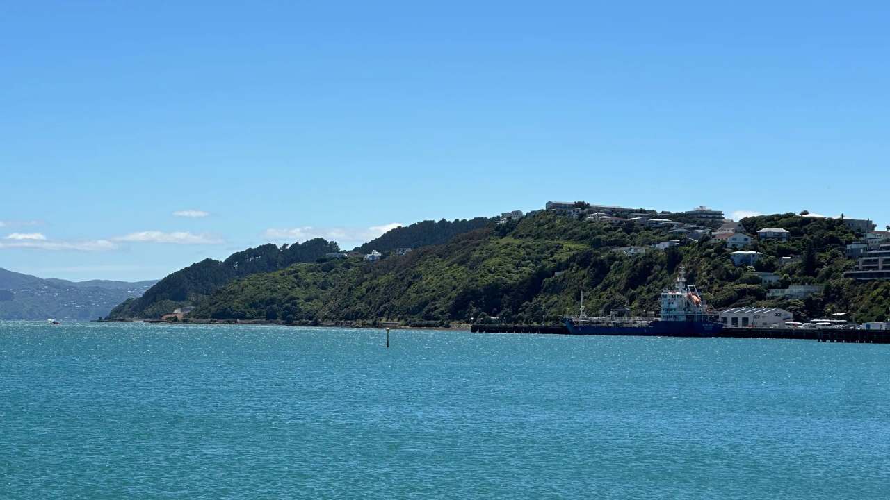 Evans Bay Beach, Wellington — photo 3