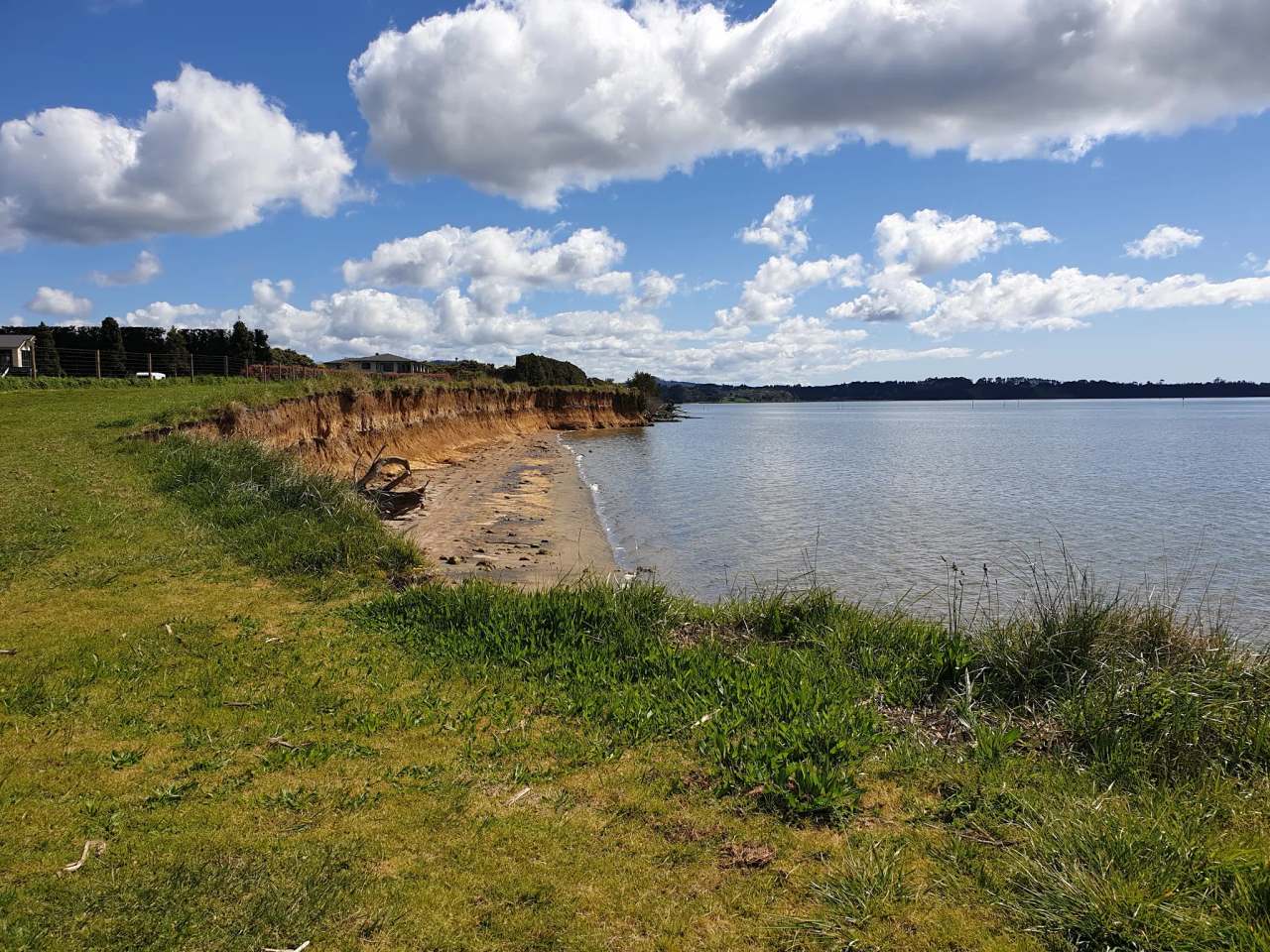 Tamawhariua Reserve/Foreshore walkway — photo 2