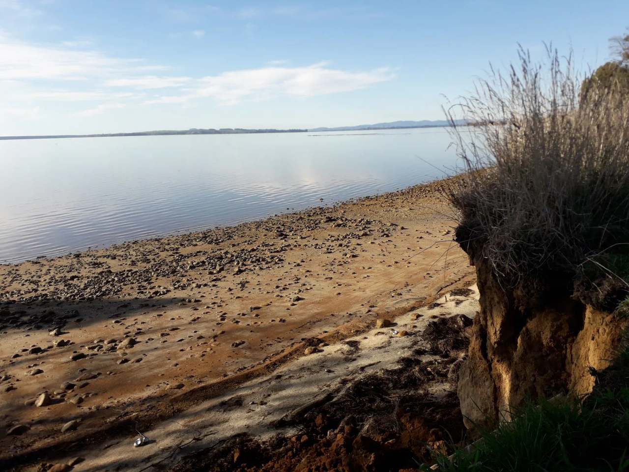 Tamawhariua Reserve/Foreshore walkway — photo 1