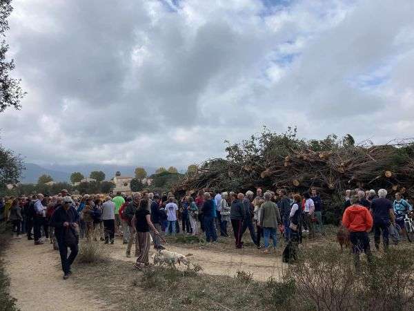 Association Argelès Nature Environnement