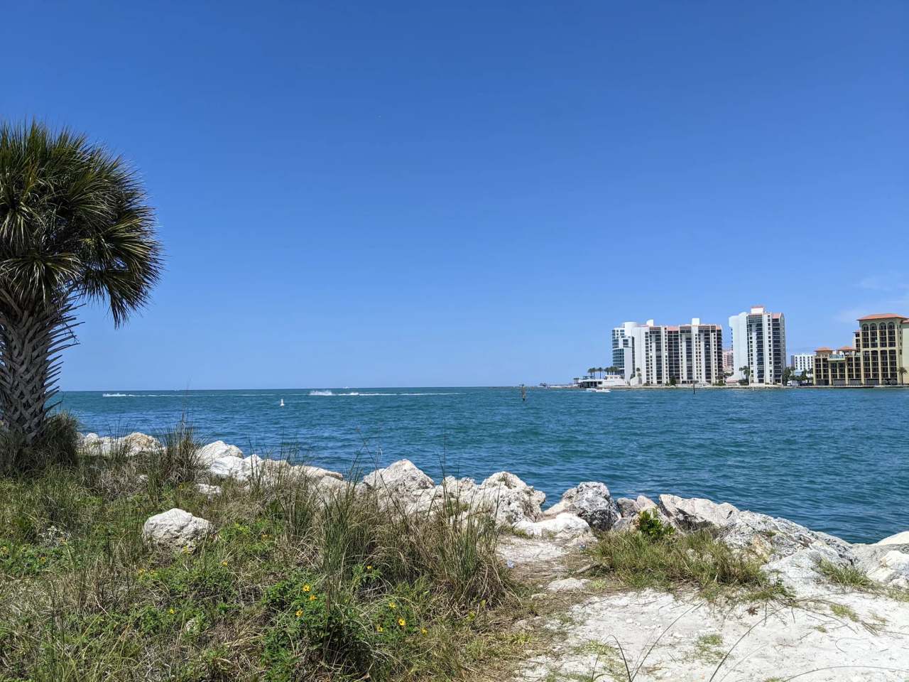 Sand Key Park — photo 3