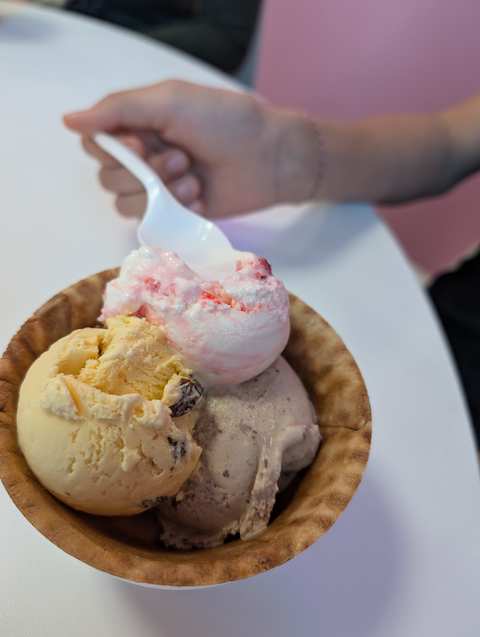 La Reyna de Michoacan Ice Cream — photo 2