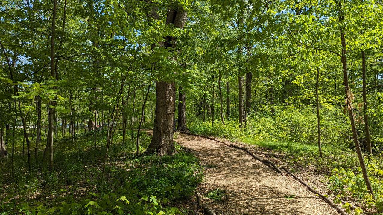 Wehr Nature Center — photo 4