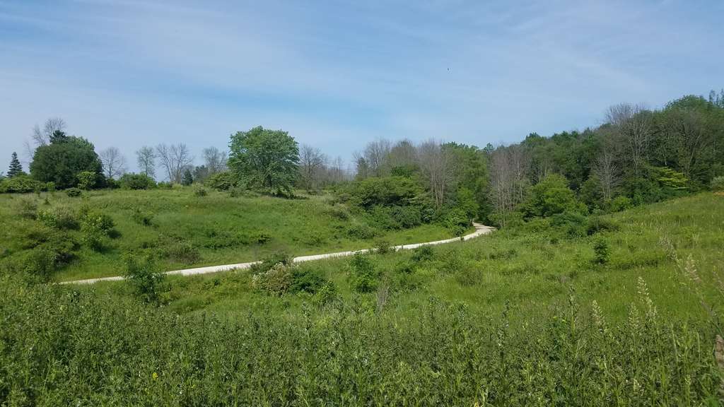 Forest Beach Migratory Preserve