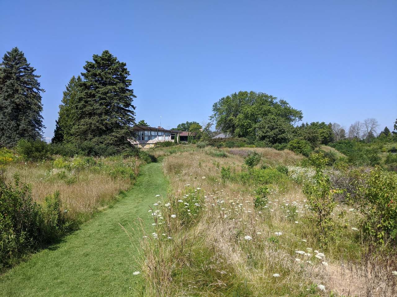 Forest Beach Migratory Preserve — photo 5
