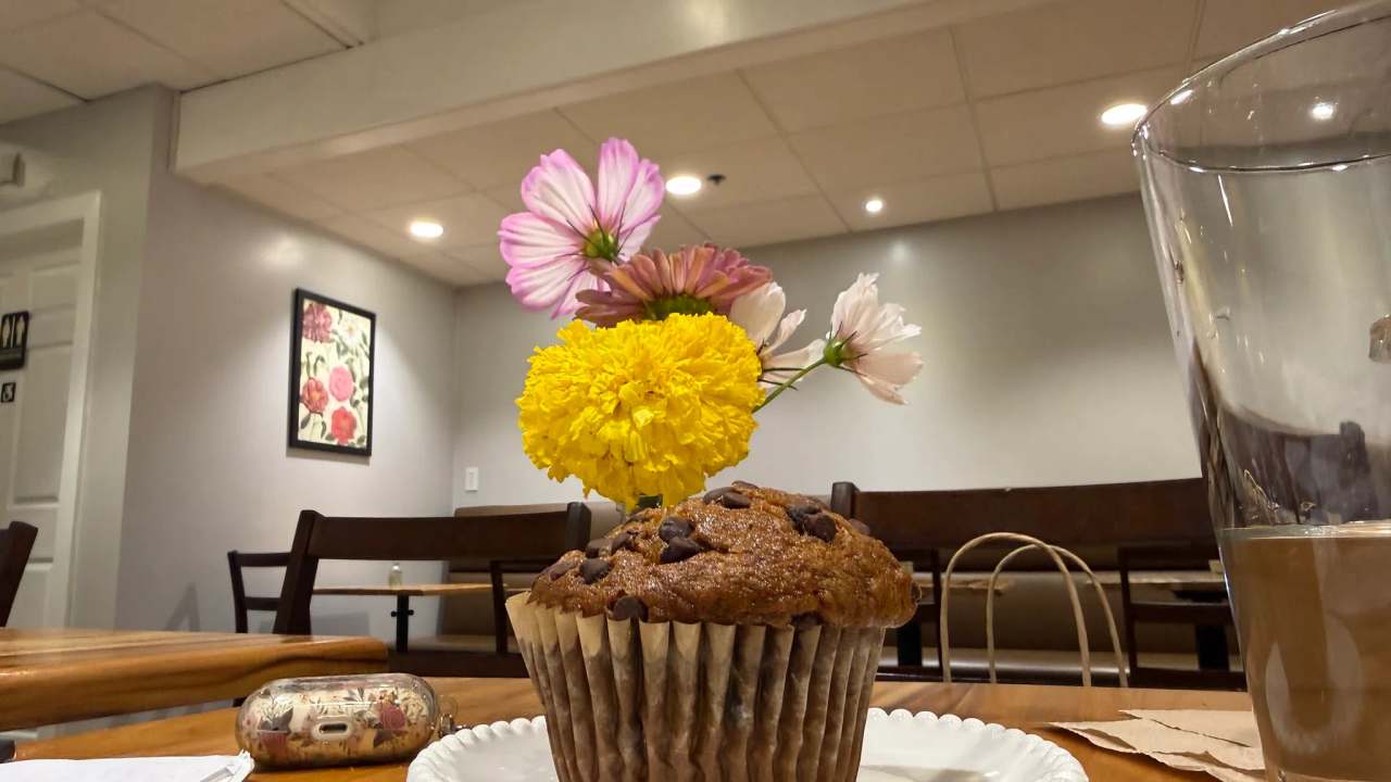 Bloom Bake Shop — photo 5