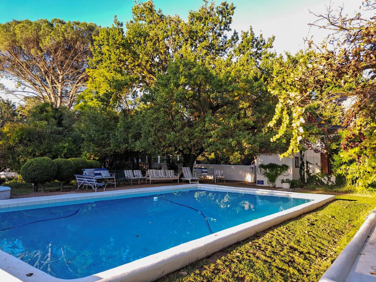 Montpellier De Tulbagh — photo 3