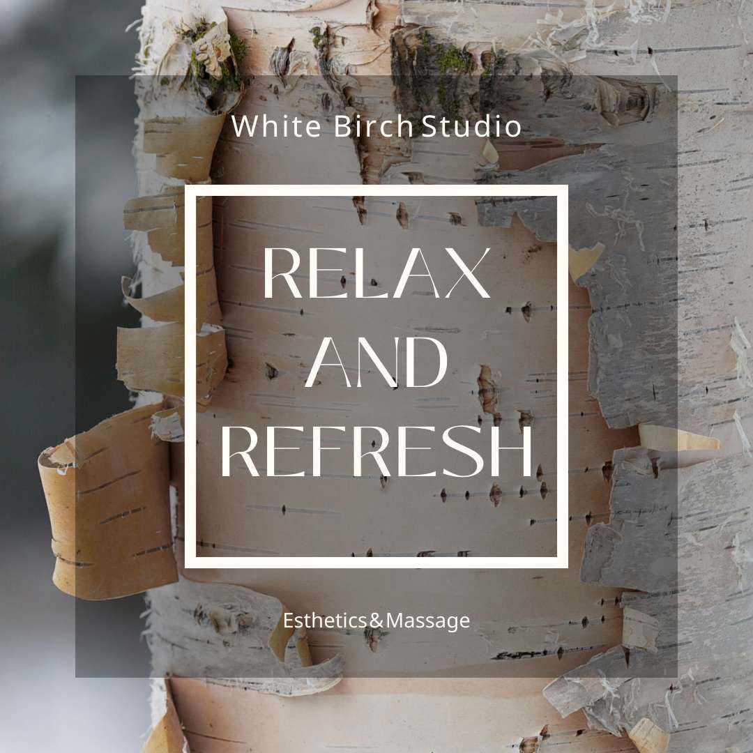 White Birch Studio — photo 2