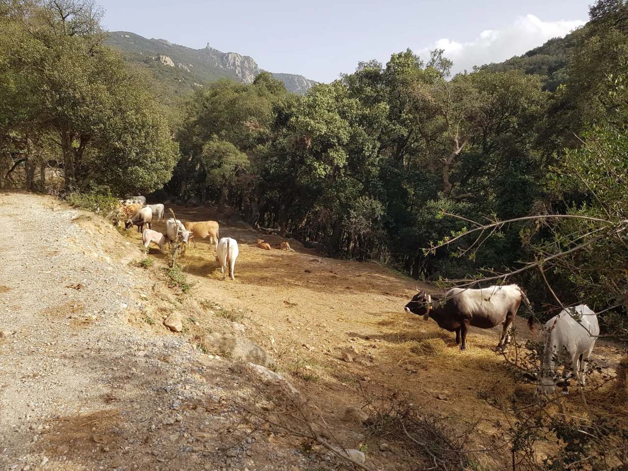 Gorge de Lavail — photo 3