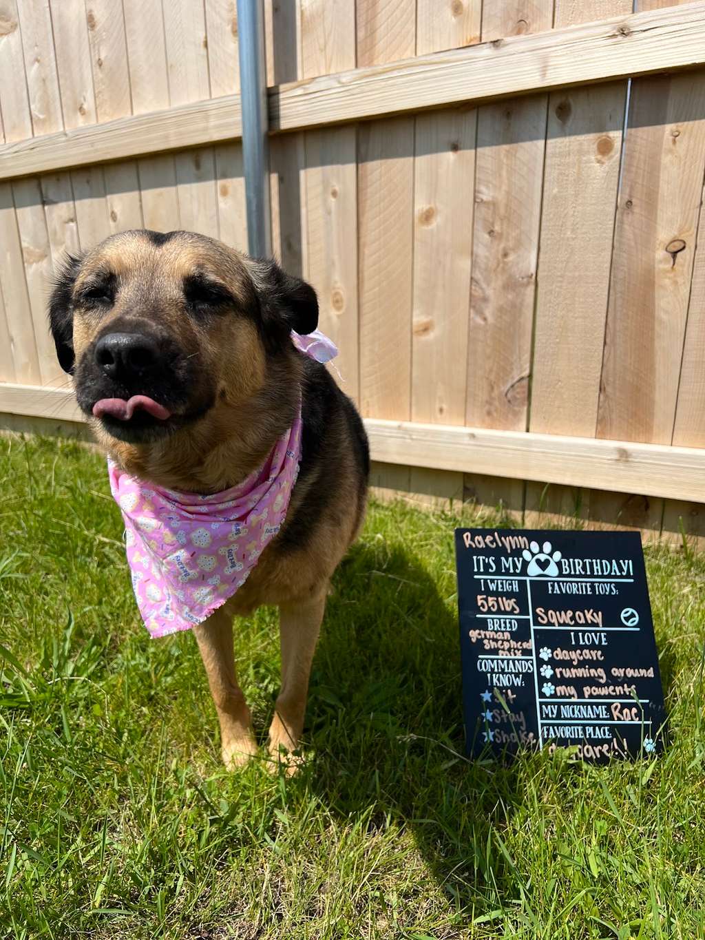 Charming Paws - Grafton