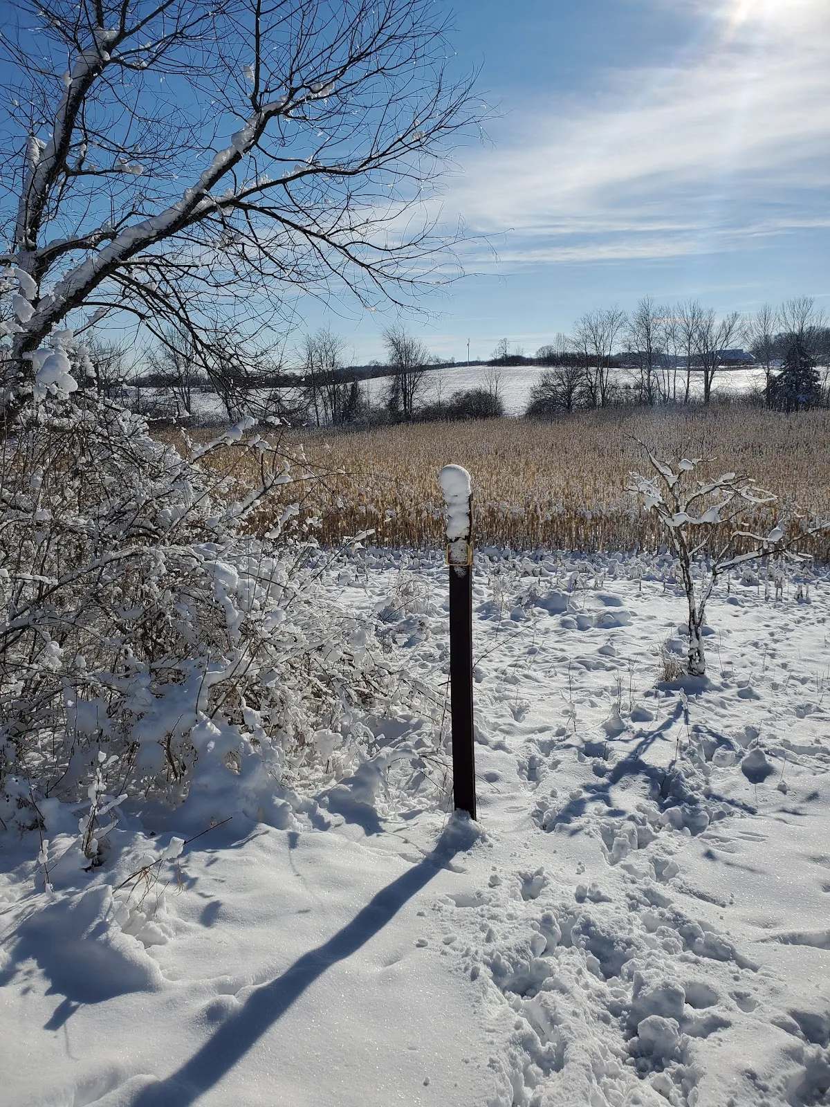 Ice Age Trail - Kewaskum Segment — photo 3