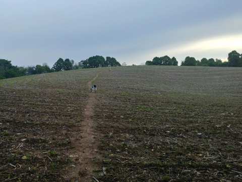 Ice Age Trail - Kewaskum Segment — photo 5