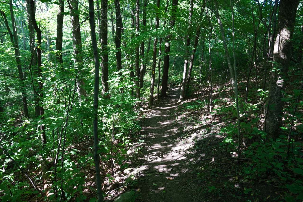 Ice Age Trail - Kewaskum Segment — photo 6