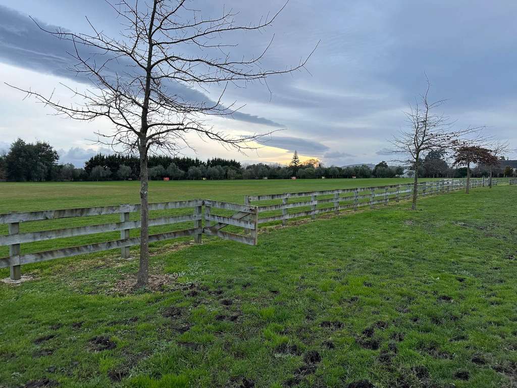 Considine Park