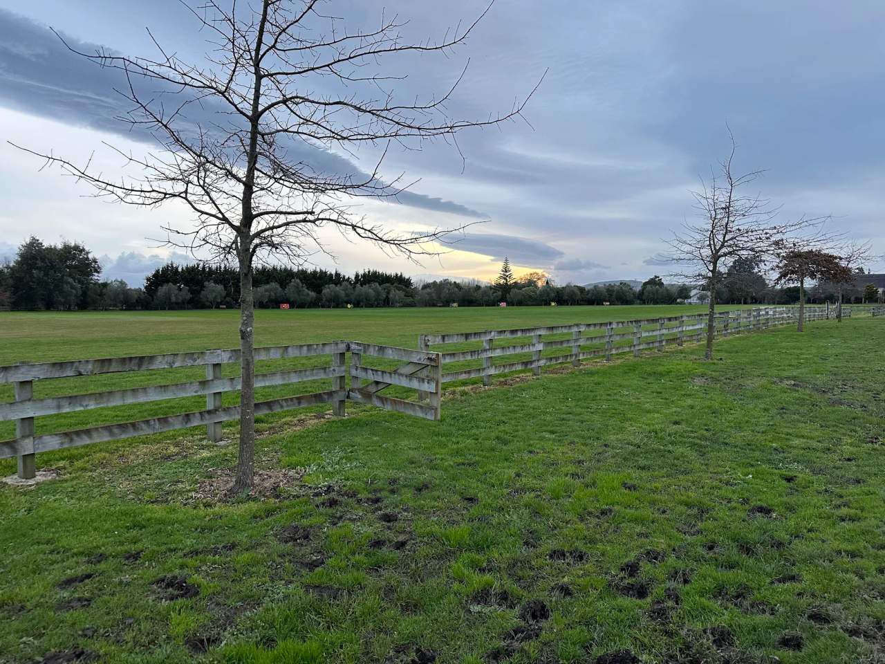 Considine Park — photo 1