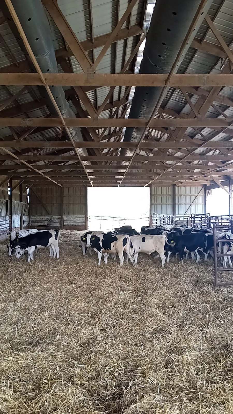 Rockland Dairy Inc — photo 1