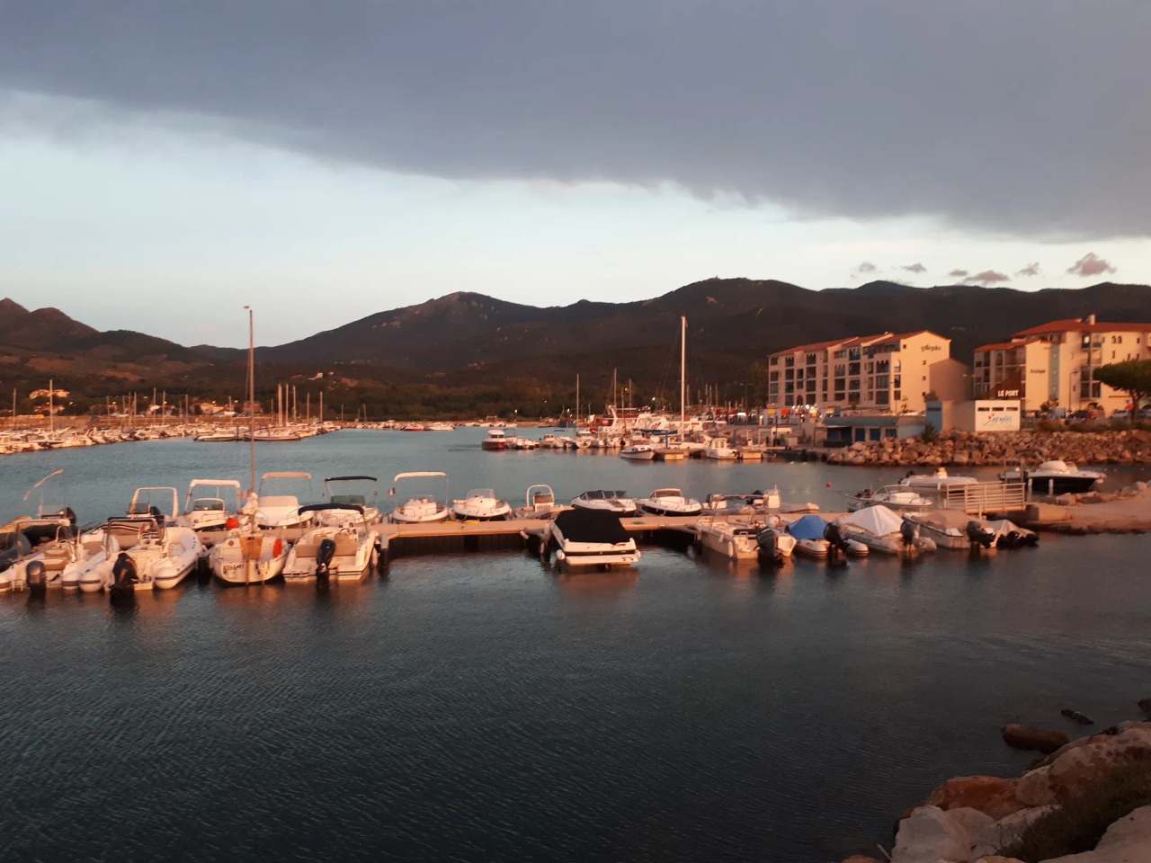 La Bodega du port — photo 5