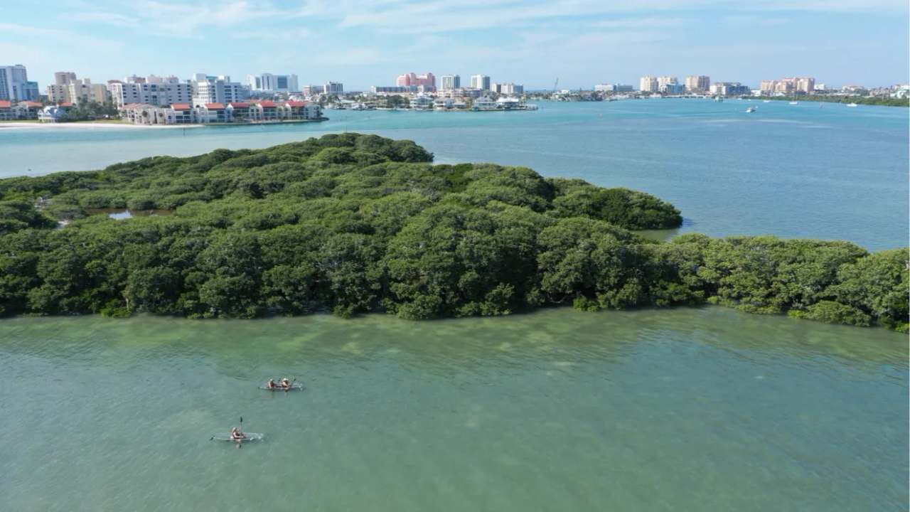 Get Up And Go Kayaking - Clearwater Beach — photo 1