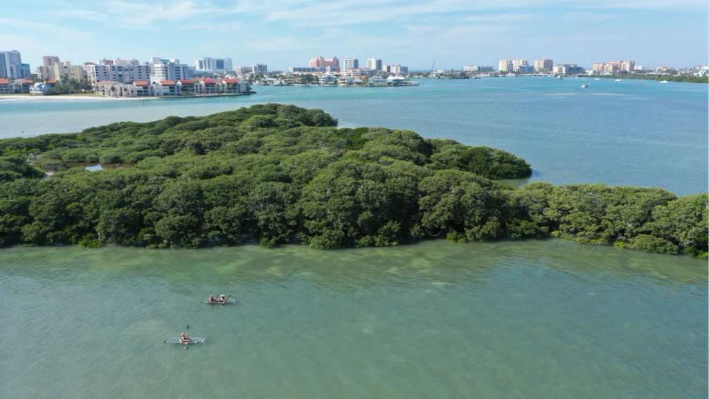 Get Up And Go Kayaking - Clearwater Beach