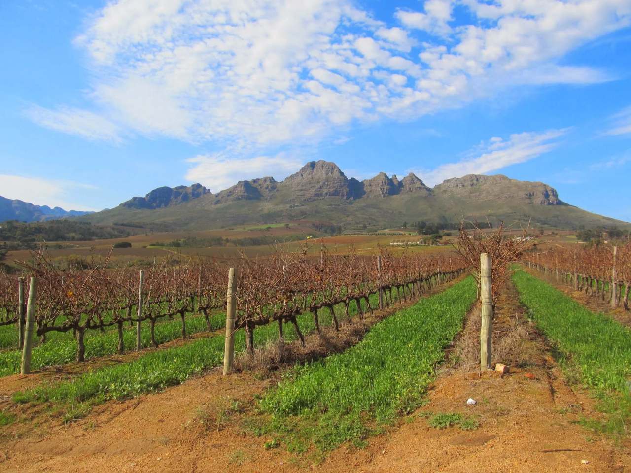 Vinehopper Wine Tours — photo 1