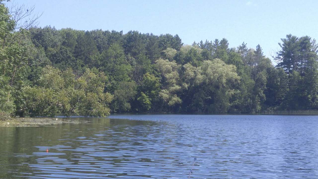 Gerber Lake Preservation Area — photo 1