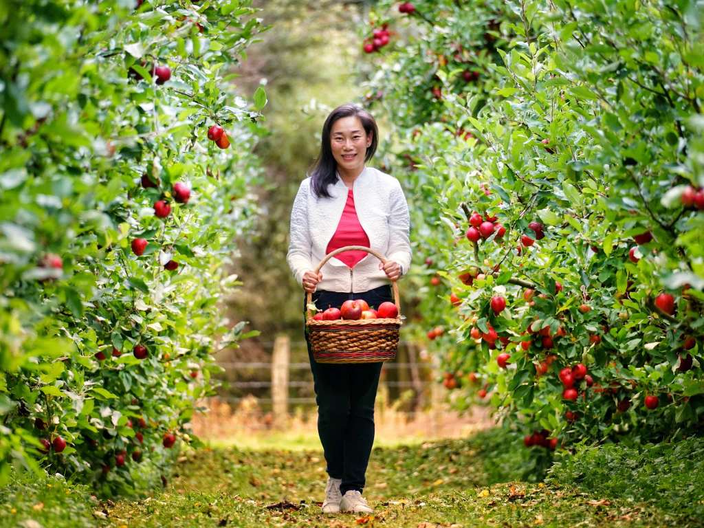 Molewood Orchard