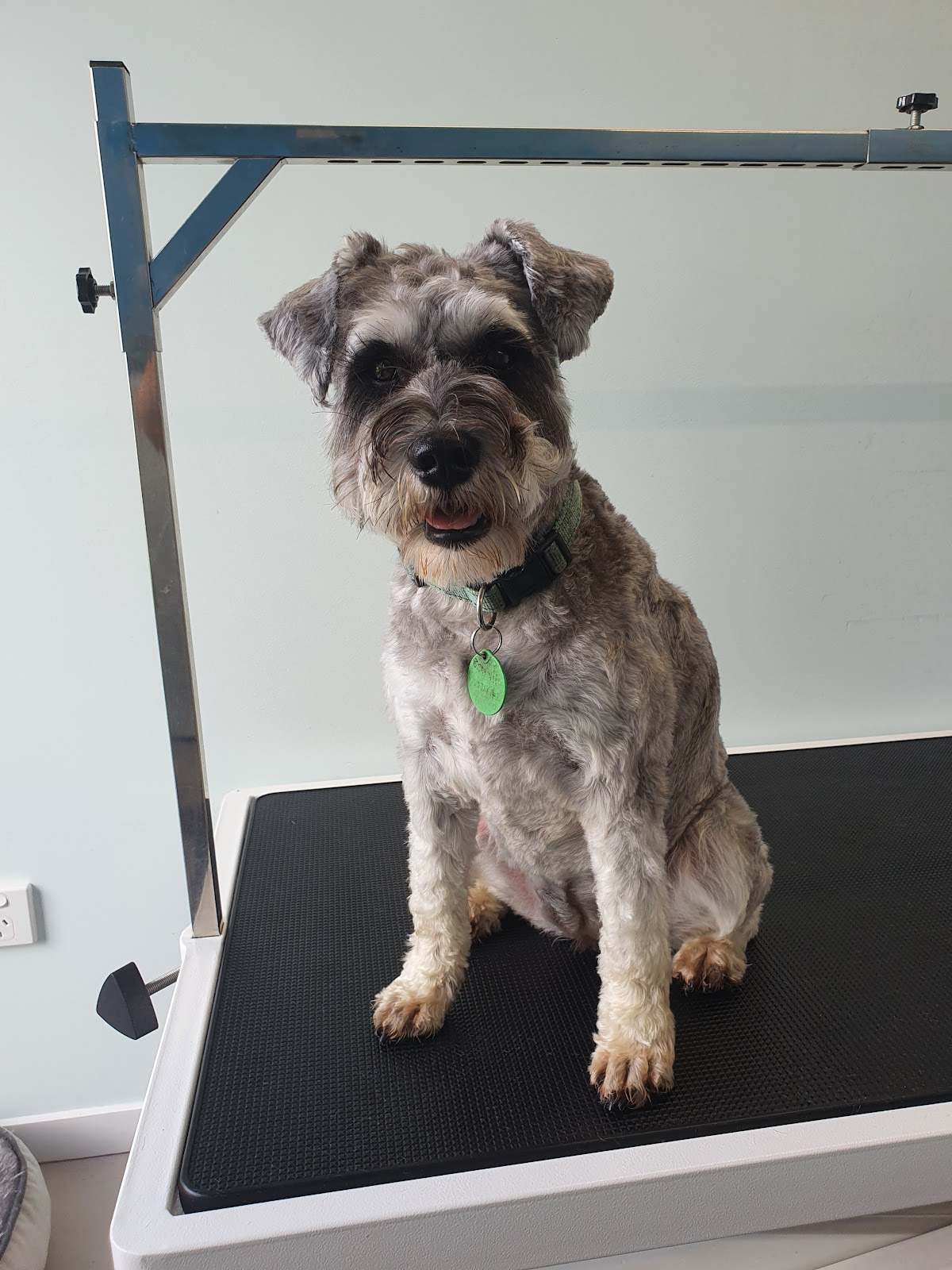 Pooch Pamper Inn — photo 1