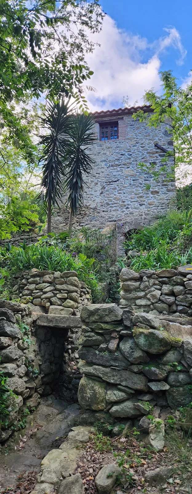 Le moulin de la Pave — photo 1