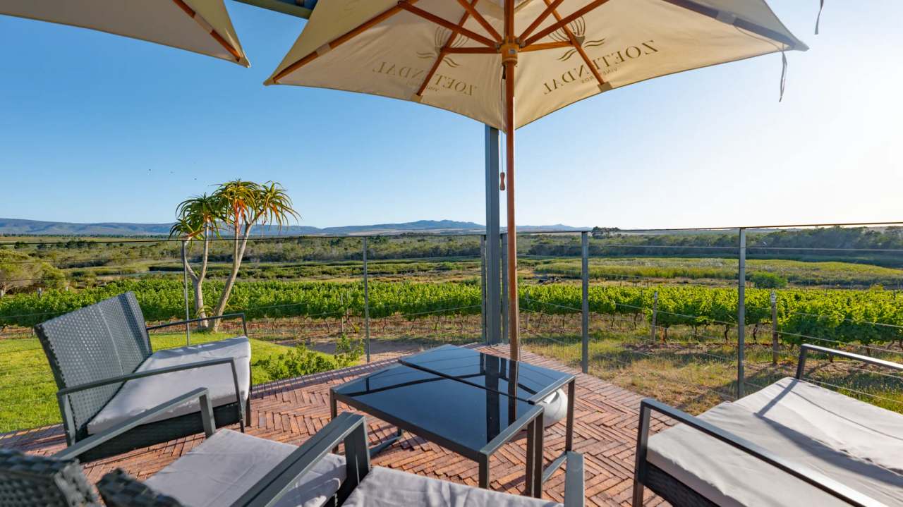 Zoetendal Vineyards & River Estate — photo 1