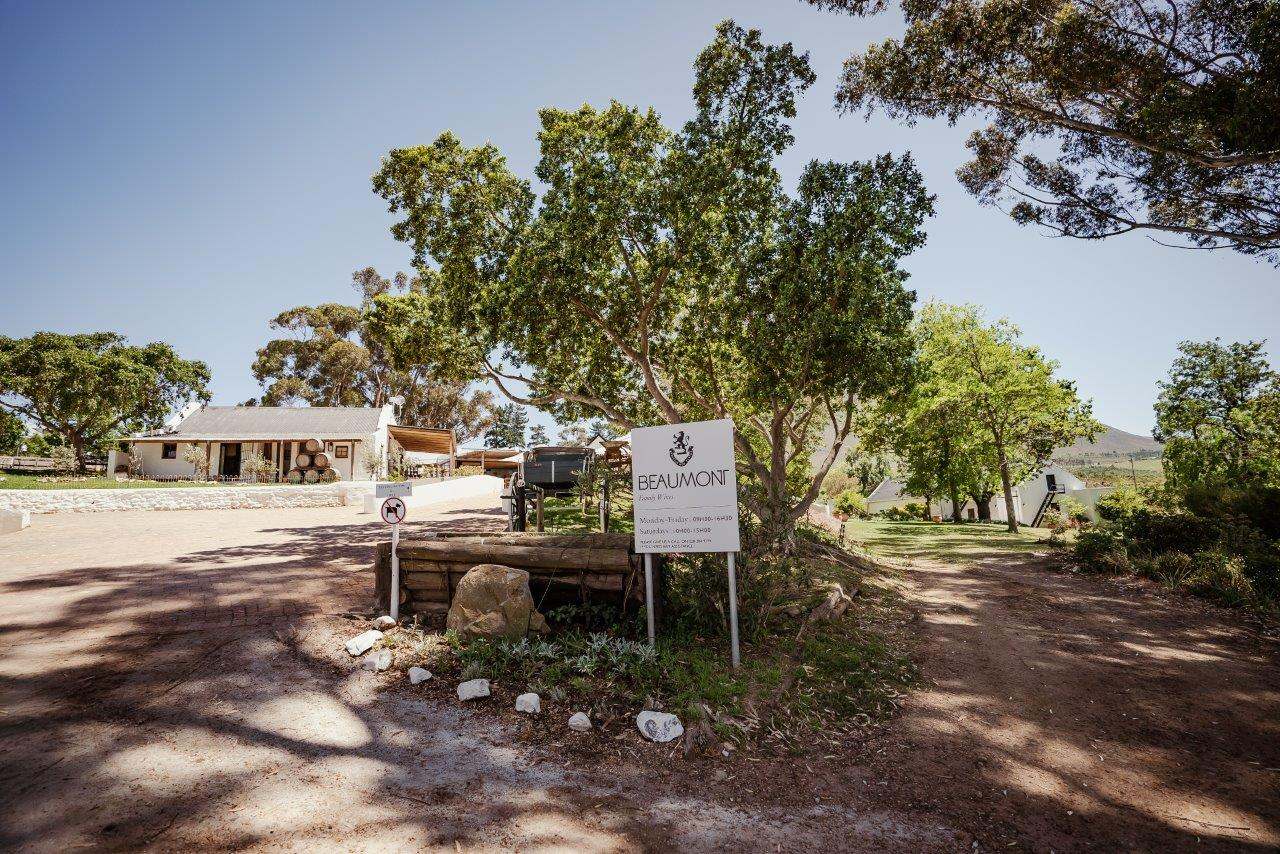 Beaumont Family Wines — photo 1