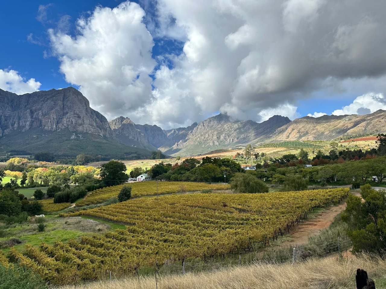 Luhambo Tours - Exclusive Wine Tours Cape Town — photo 2