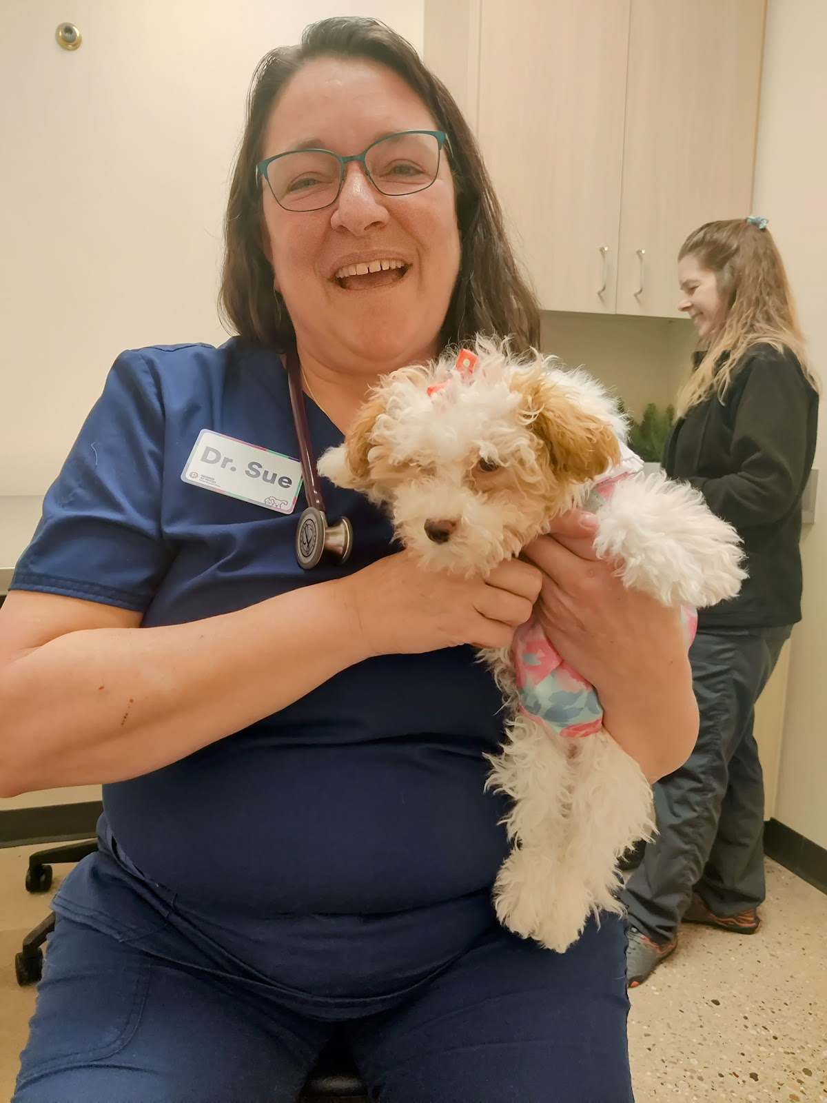 Vetco Total Care — photo 2